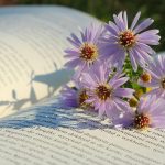 blog.printrecarti.ro